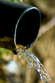 acqua